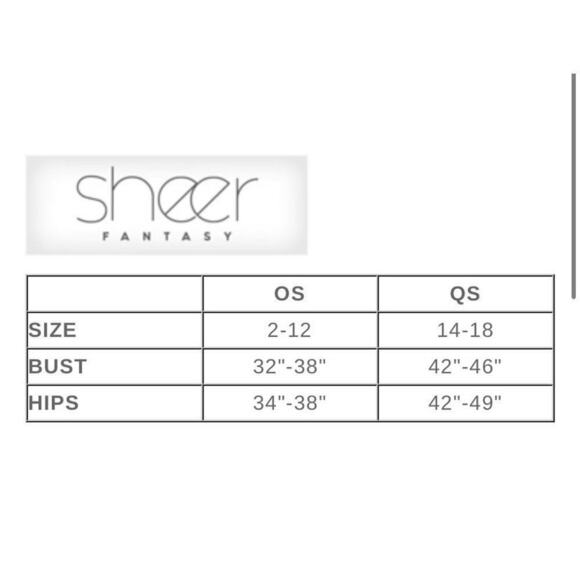 🦋B2G1🦋FANTASY LINGERIE Sheer Fantasy ROYAL TREATMENT Gartered Teddy Bodystocking - Picture 4 of 5